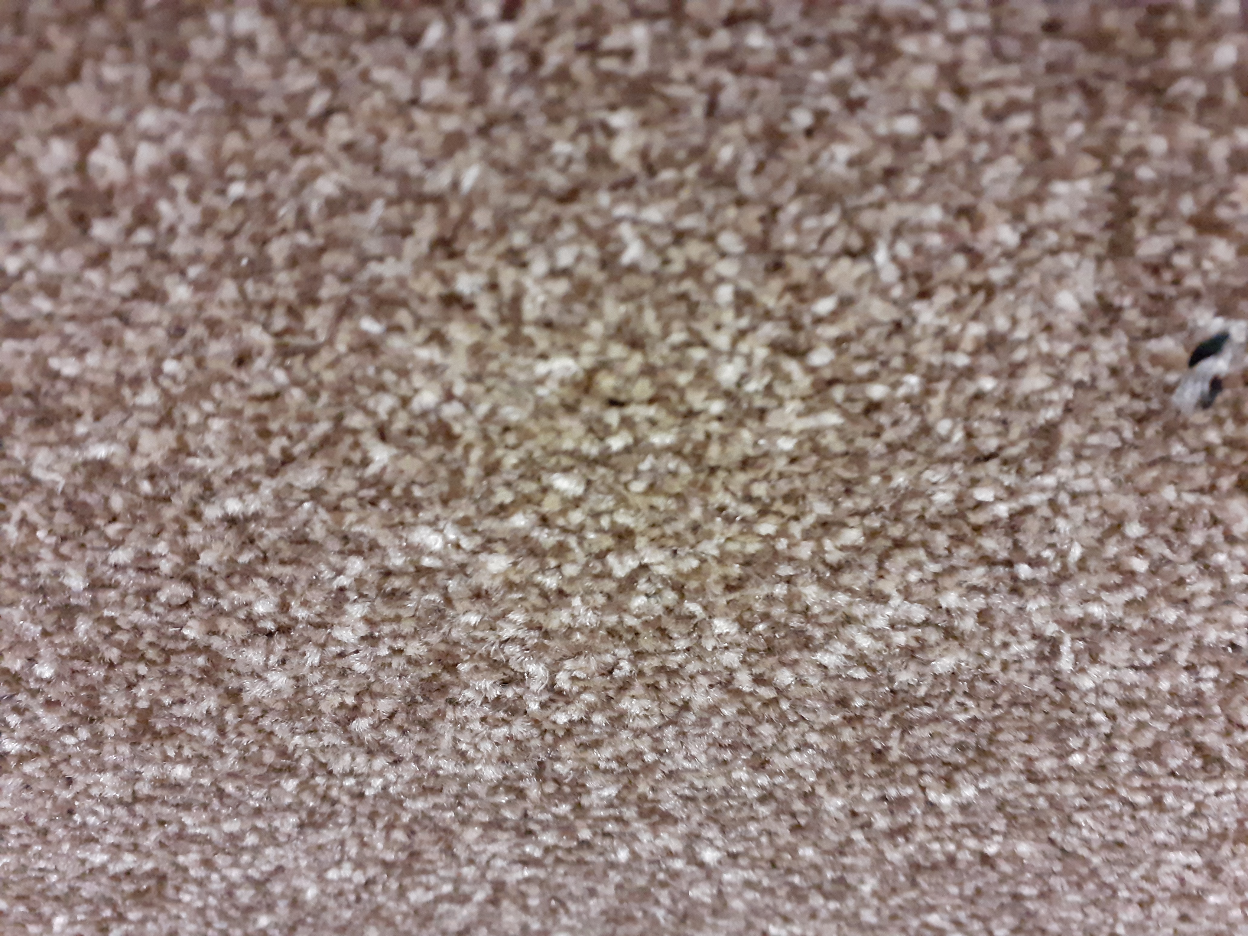 >CAITHNESS TWIST CORK OAK